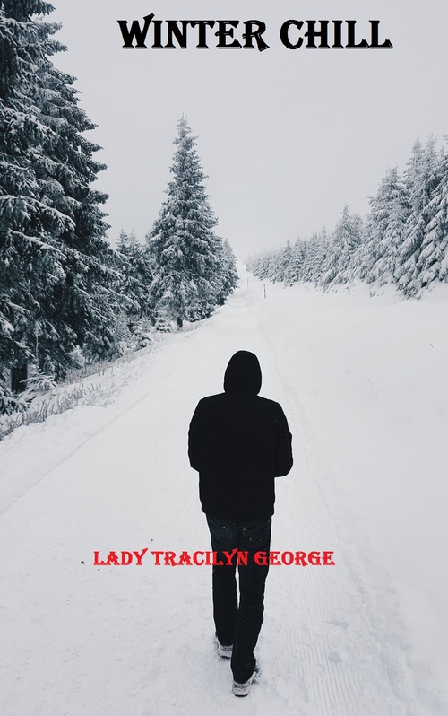 Product picture Winter Chill